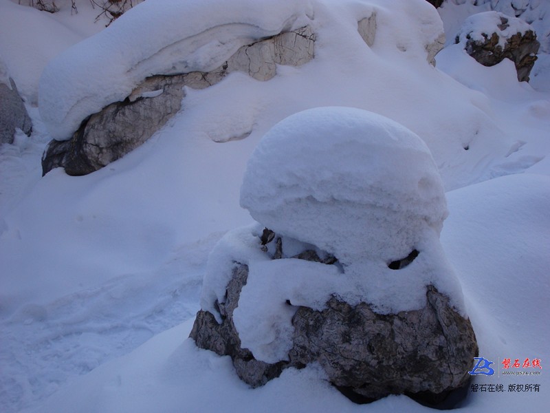 冬雪石鸟