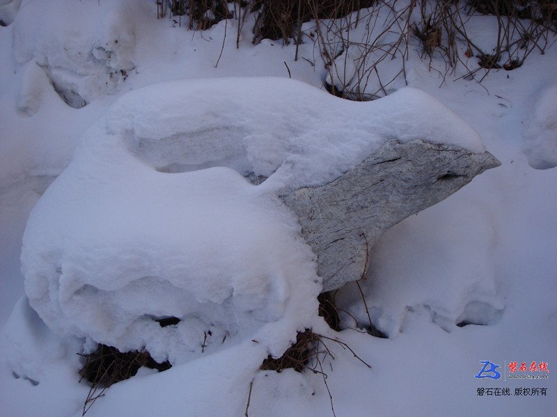 冬雪石鸟