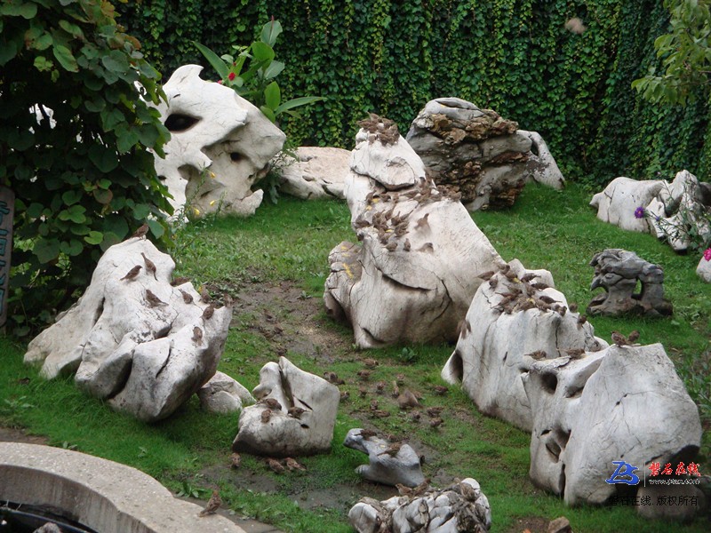 关爱小鸟（磐石东宁奇石艺园特照）