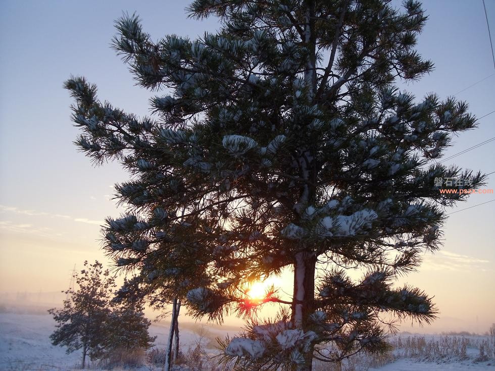 2012年初雪