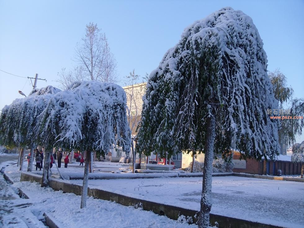 2012年初雪