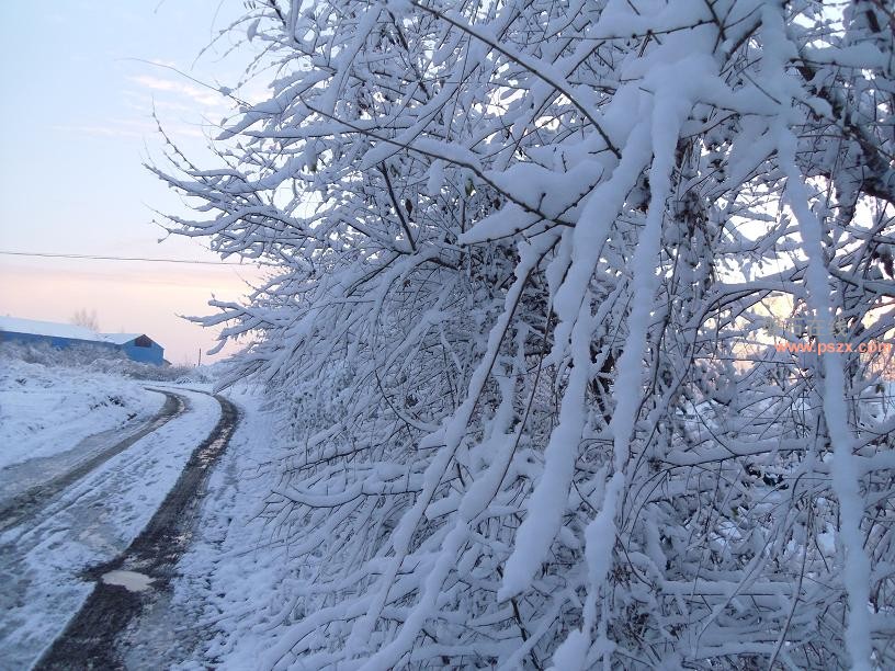 2012年初雪