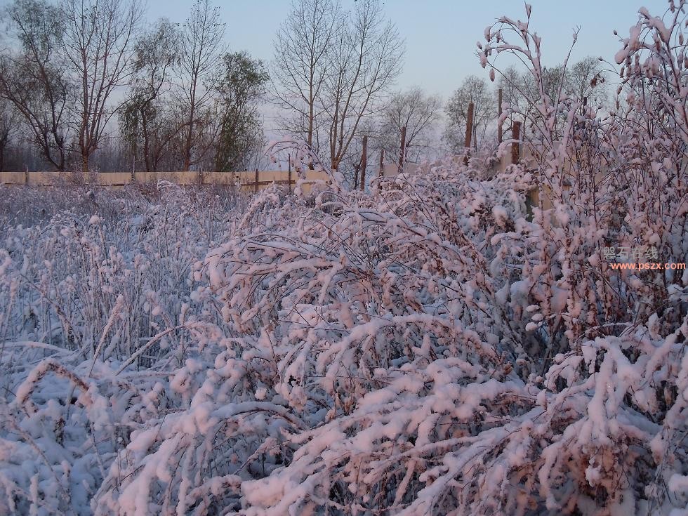 2012年初雪