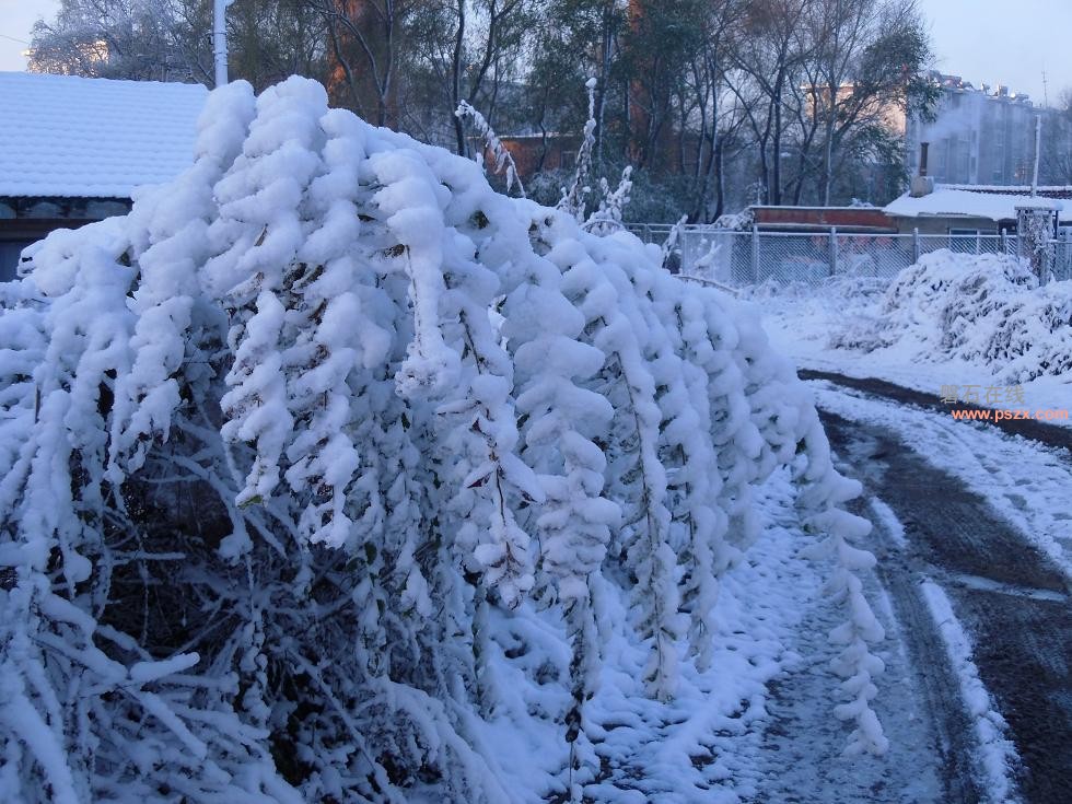 2012年初雪