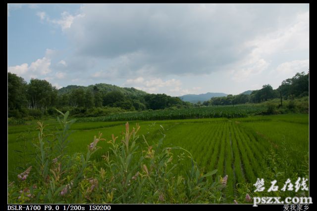 石城景色