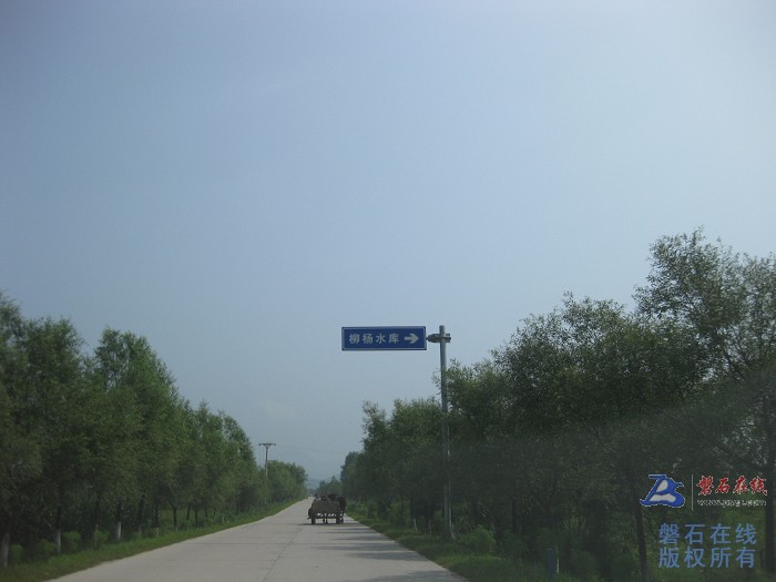 nEO_IMG_IMG_0155.jpg