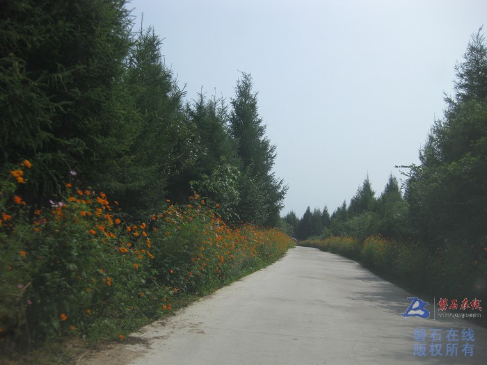 去石嘴观荷花看水库从富太镇返回