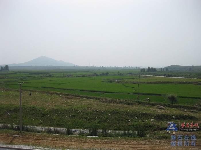 nEO_IMG_IMG_0185.jpg