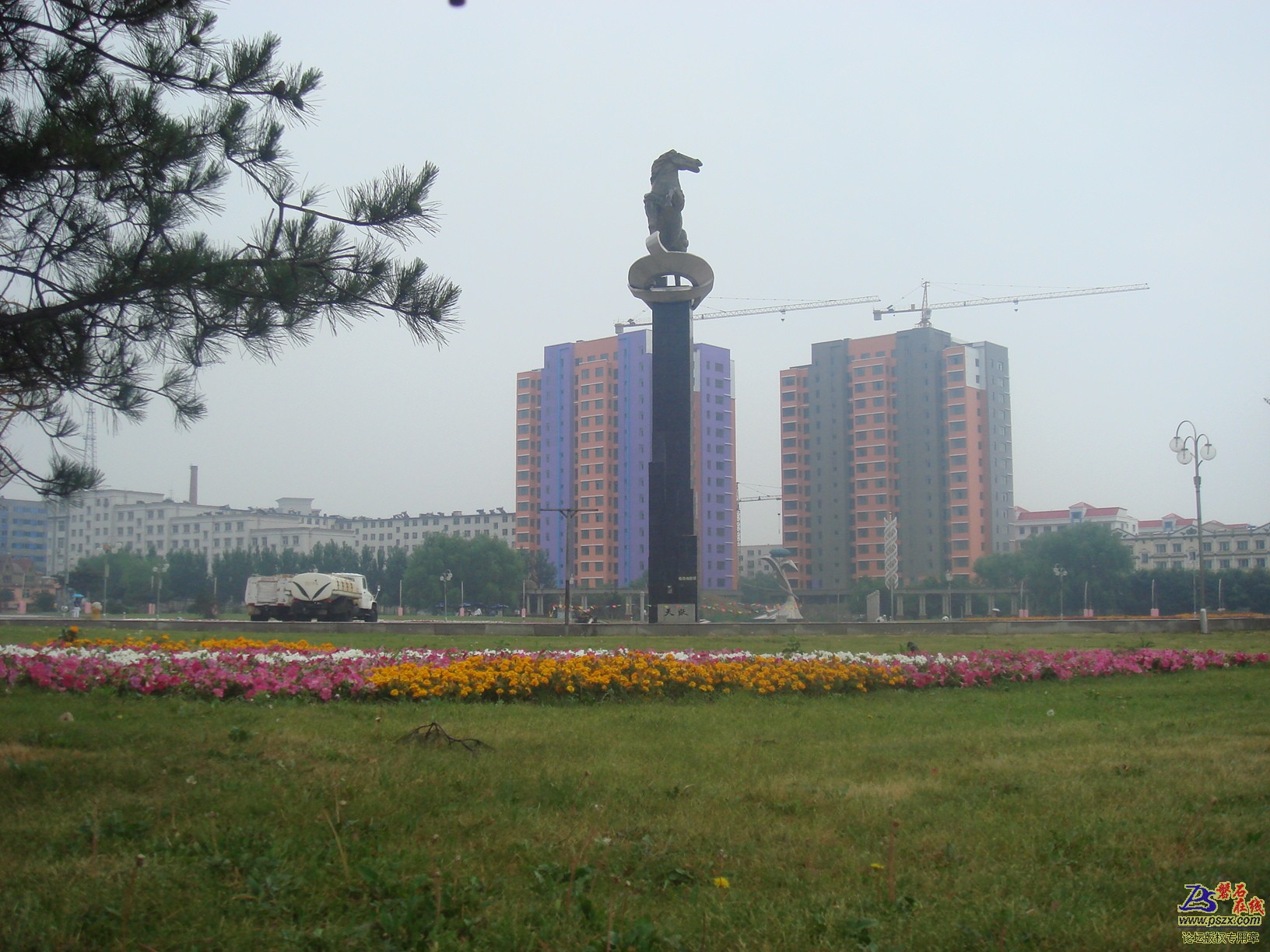 DSC02009.JPG