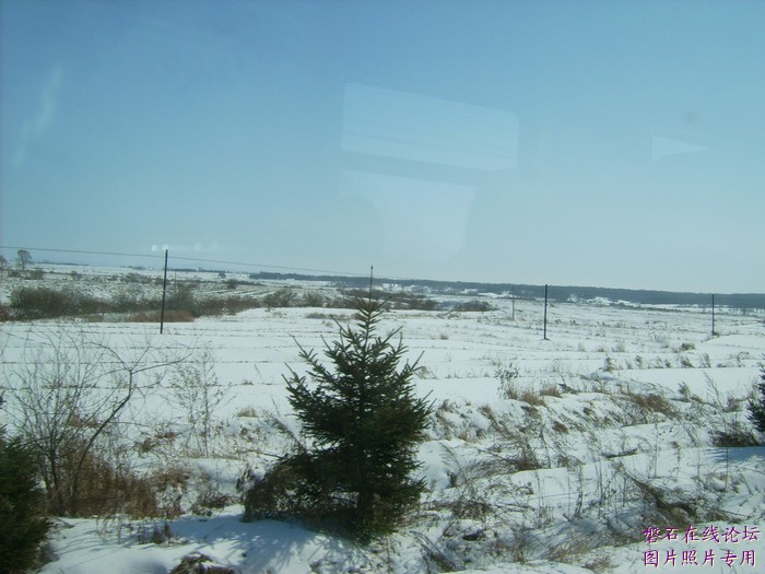 北国风光，千里冰封，万里雪飘，苍白大地。---磐石向南，向南，......