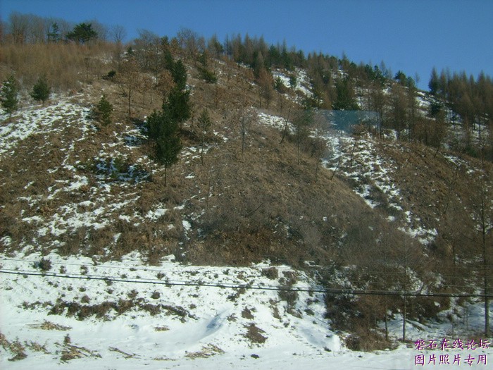 北国风光，千里冰封，万里雪飘，苍白大地。---磐石向南，向南，......