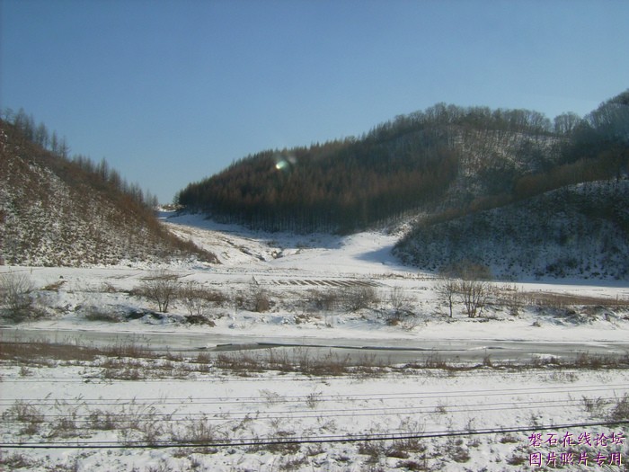 北国风光，千里冰封，万里雪飘，苍白大地。---磐石向南，向南，......