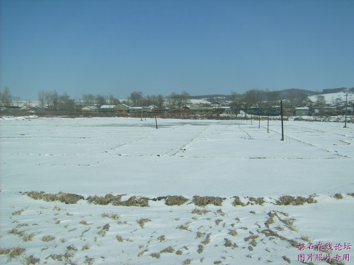 北国风光，千里冰封，万里雪飘，苍白大地。---磐石向南，向南，......