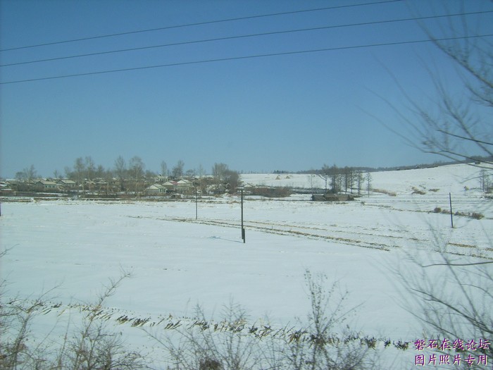 北国风光，千里冰封，万里雪飘，苍白大地。---磐石向南，向南，......