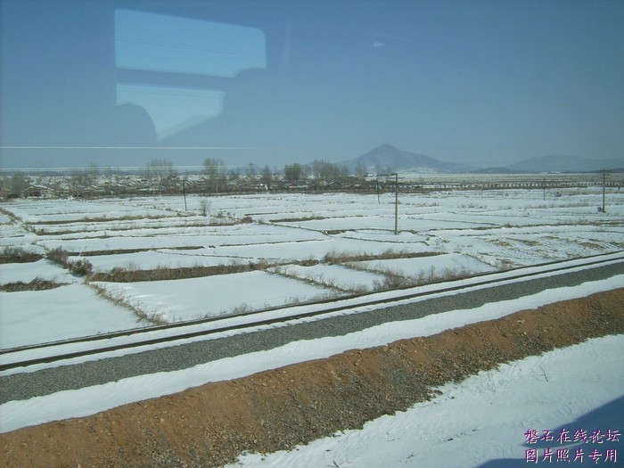 北国风光，千里冰封，万里雪飘，苍白大地。---磐石向南，向南，......