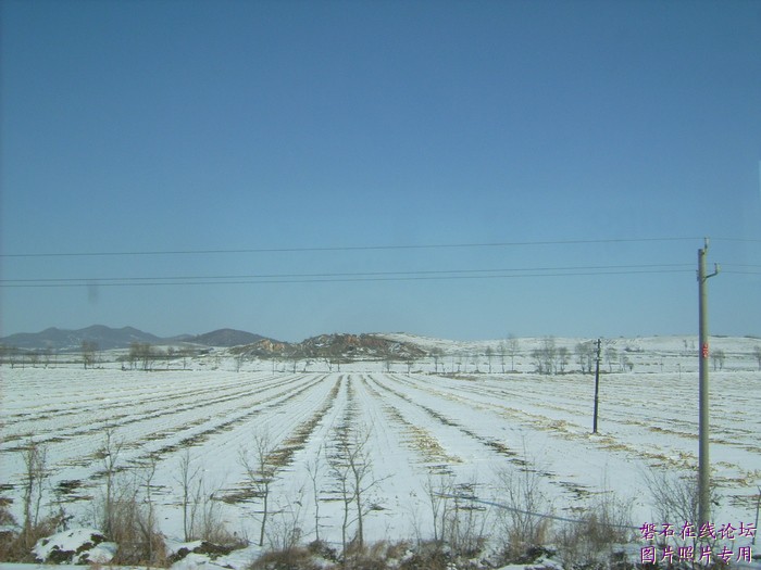 北国风光，千里冰封，万里雪飘，苍白大地。---磐石向南，向南，......