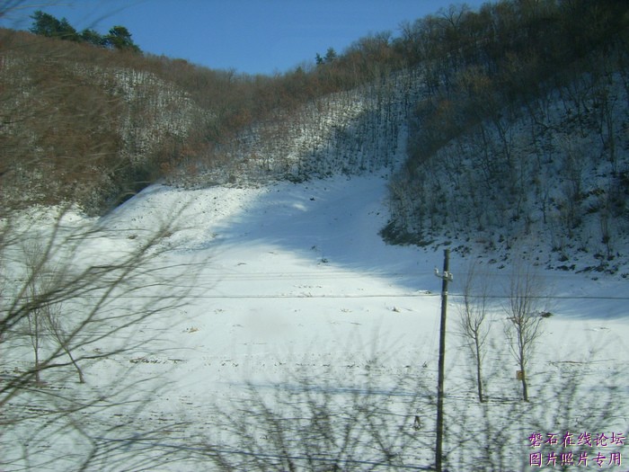 北国风光，千里冰封，万里雪飘，苍白大地。---磐石向南，向南，......