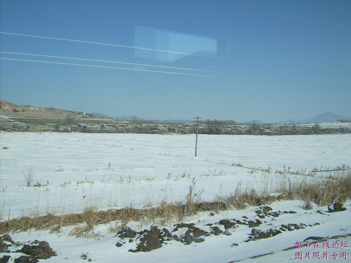 北国风光，千里冰封，万里雪飘，苍白大地。---磐石向南，向南，......