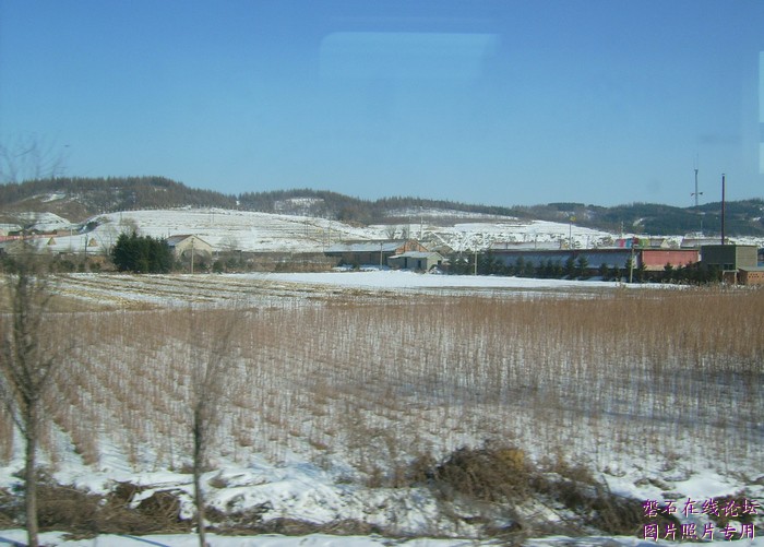 北国风光，千里冰封，万里雪飘，苍白大地。---磐石向南，向南，......