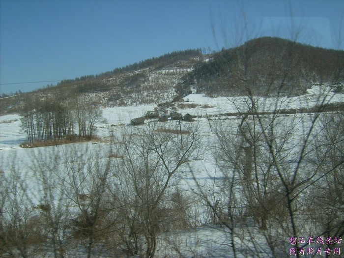 北国风光，千里冰封，万里雪飘，苍白大地。---磐石向南，向南，......