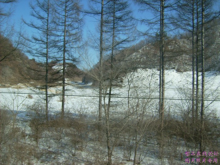 北国风光，千里冰封，万里雪飘，苍白大地。---磐石向南，向南，......