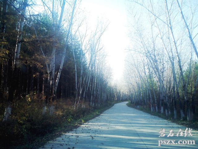 谁知道住房公积金是怎么回事？