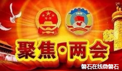 2016两会提案议案排行榜