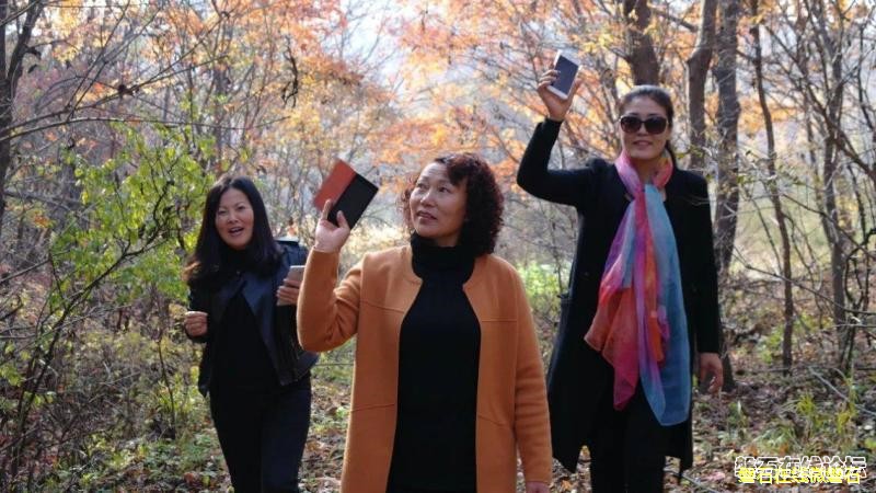 魅力莲花山，清清的河水，我们踏着红叶在白桦林走过