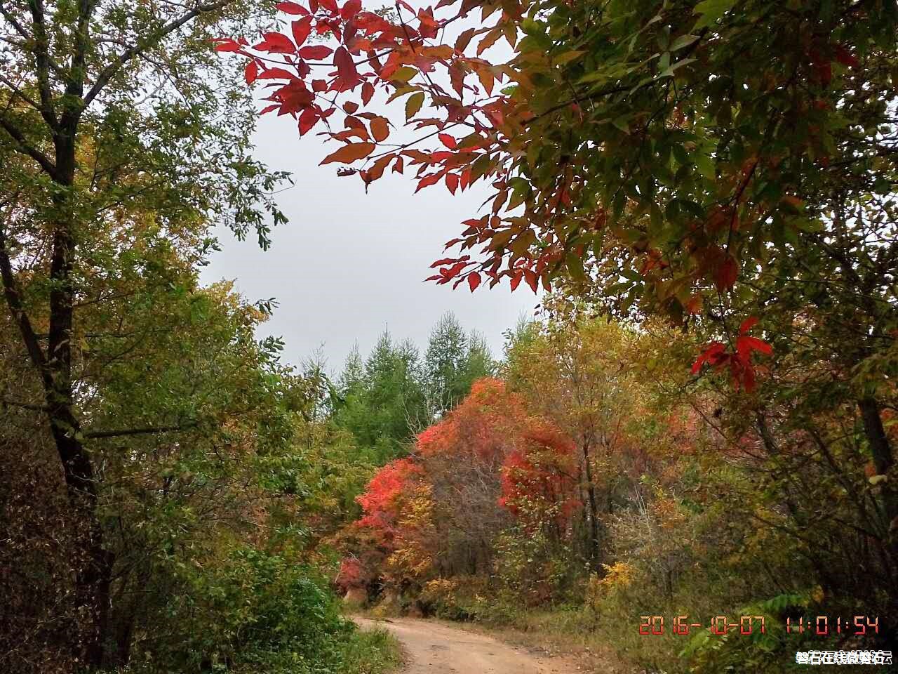 磐石——取柴河秋景