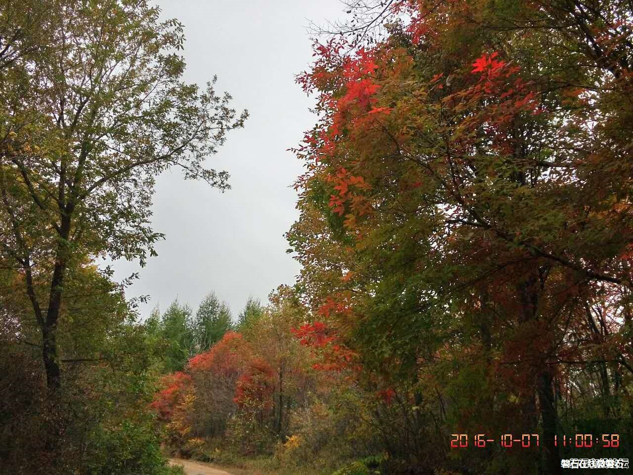 磐石——取柴河秋景