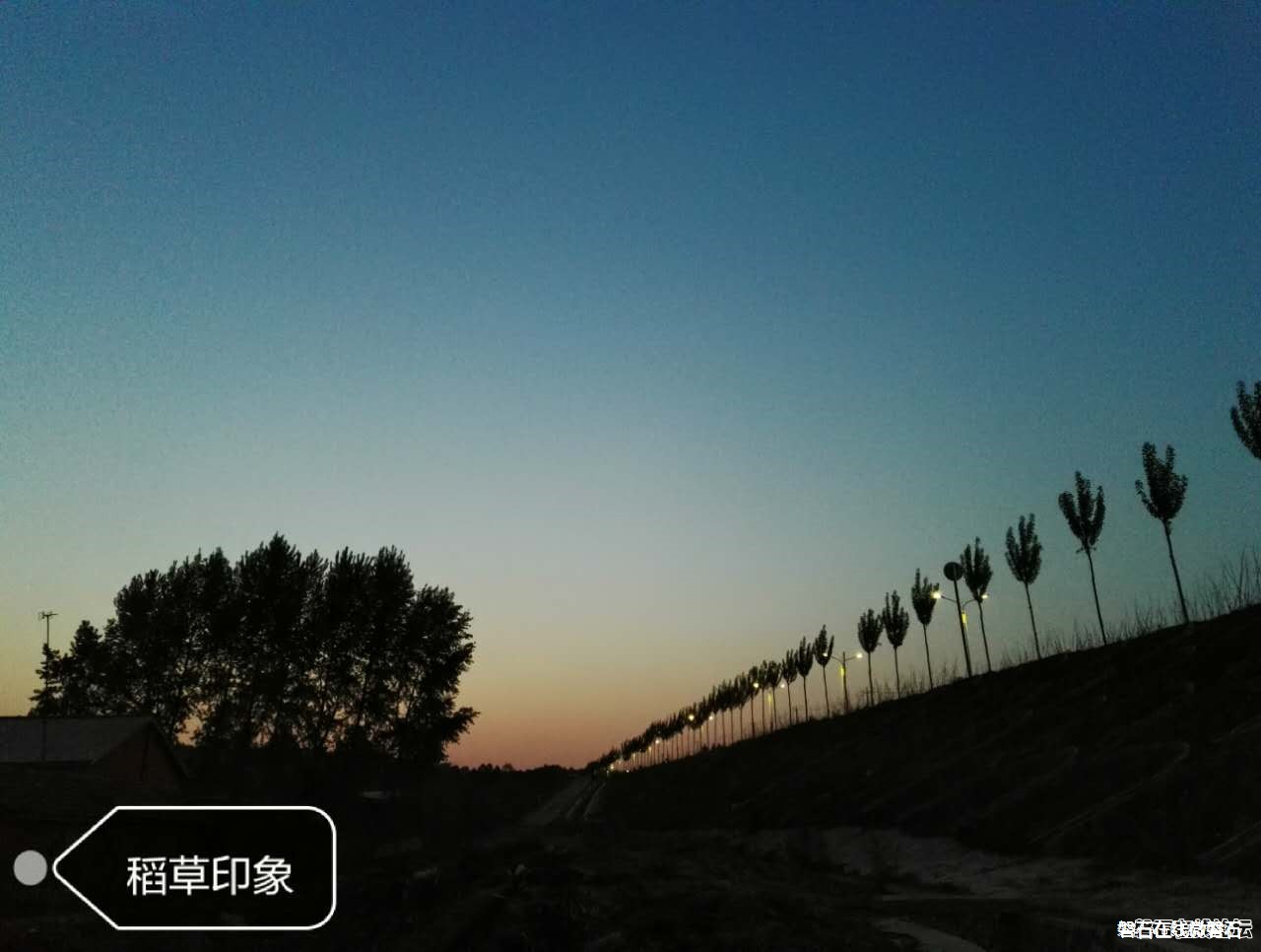 夜太美