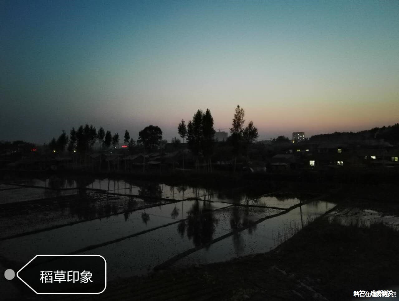 夜太美
