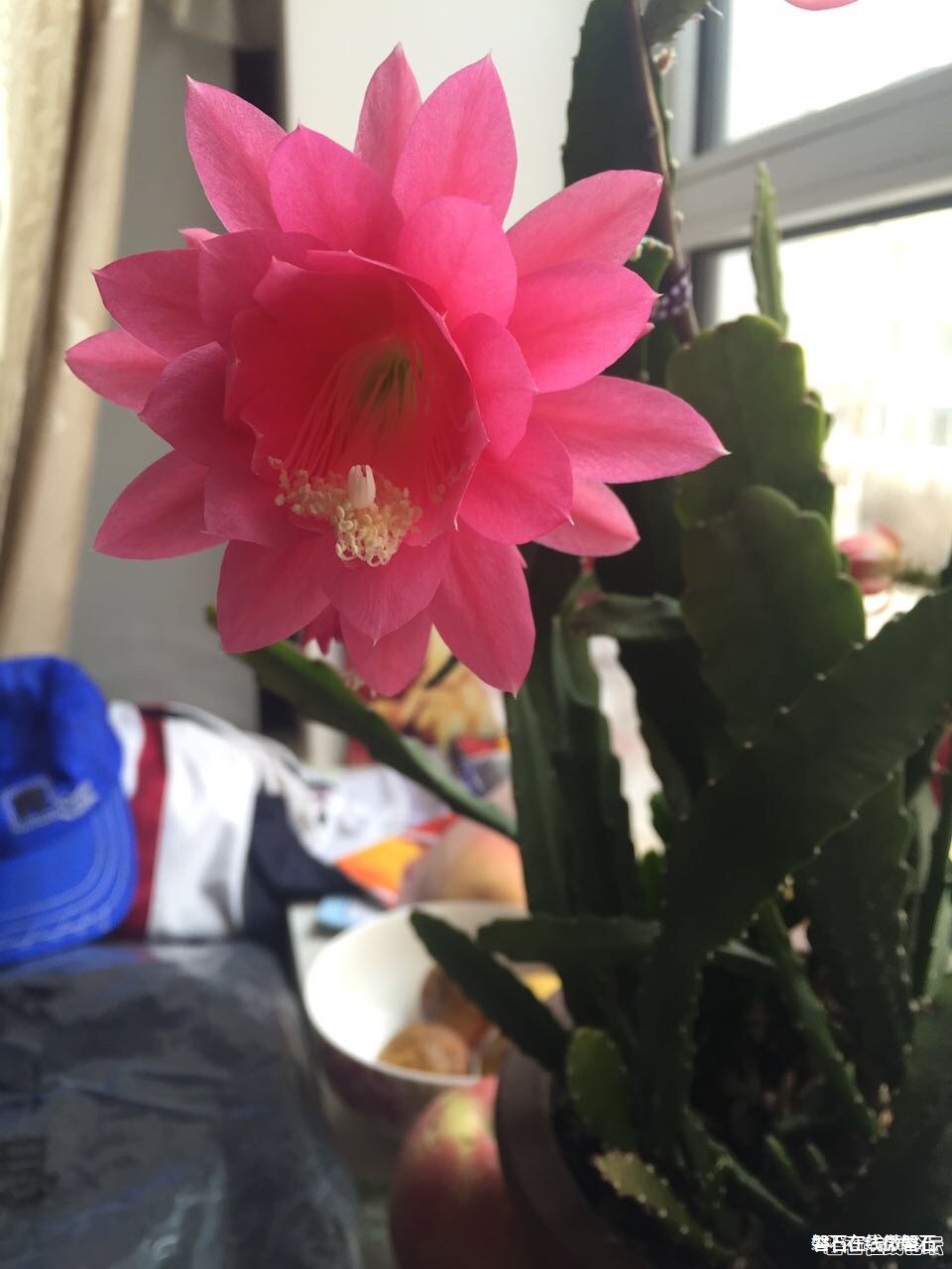 春天