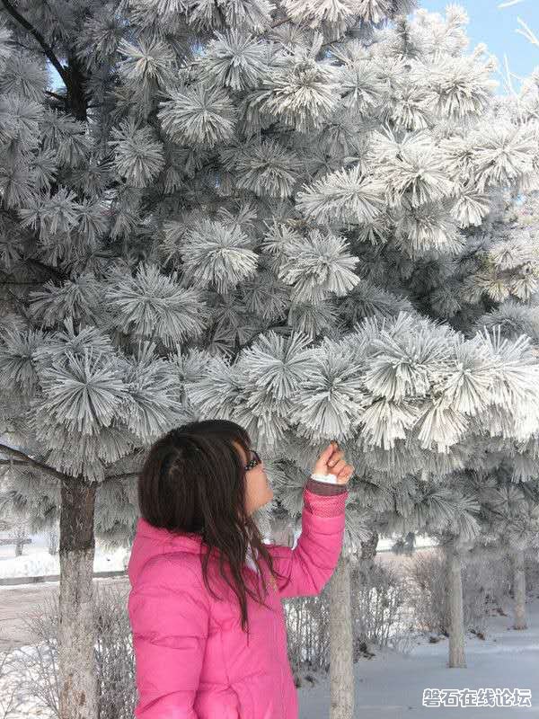 wechat_upload14808279375843a421dcad1