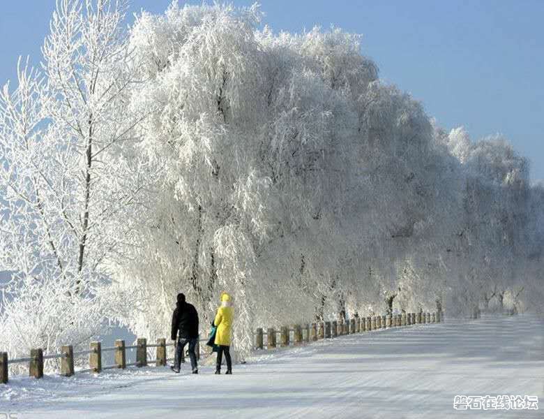 wechat_upload14808279385843a42221c1a
