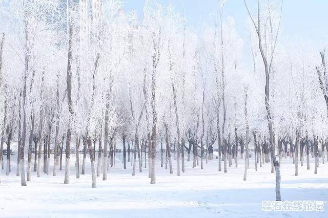 wechat_upload1481630317584fe26d1d5e1