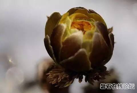 6zUi3iBP6B16.jpg
