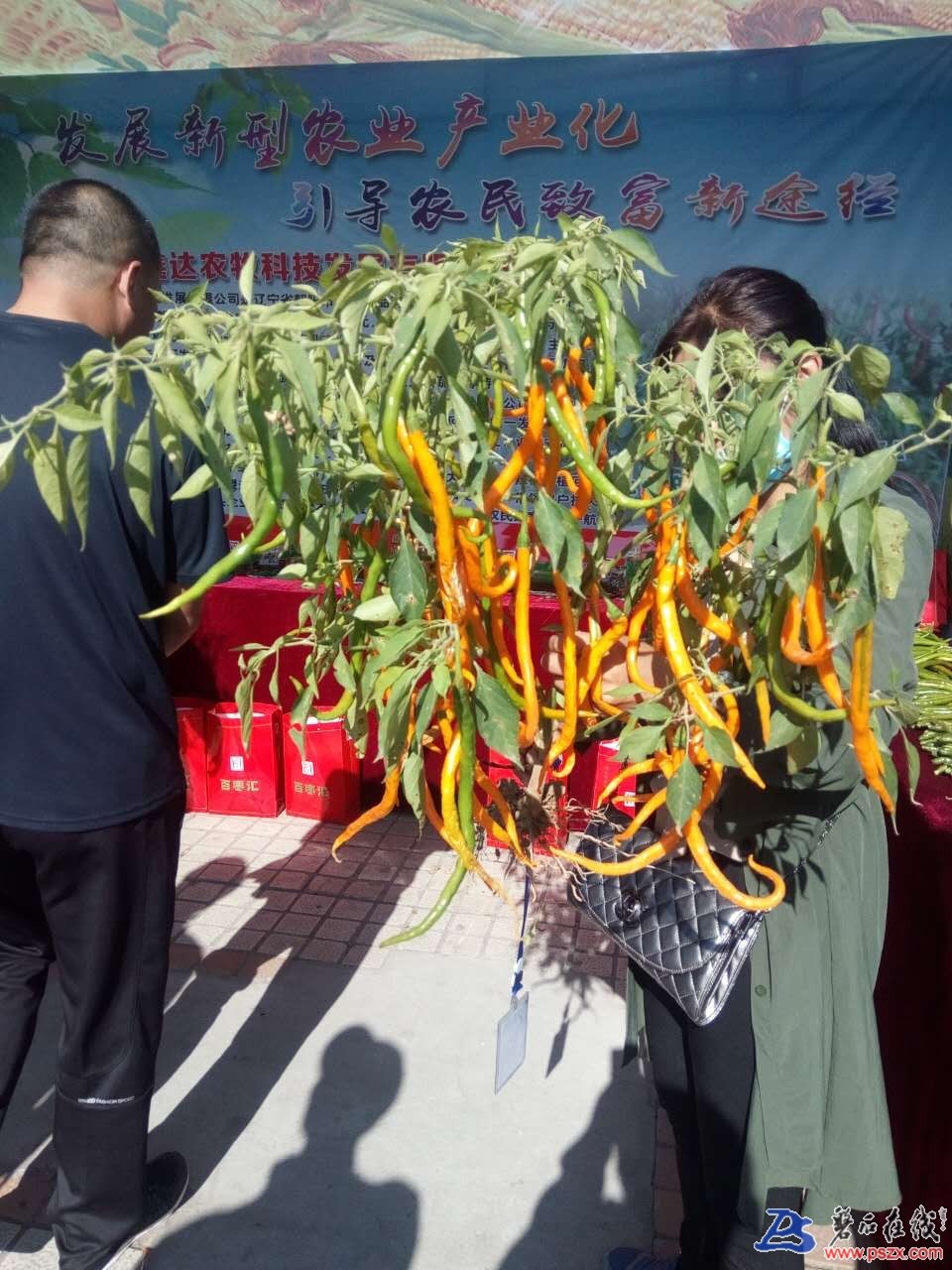 wechat_upload150598167659c374ecdf773