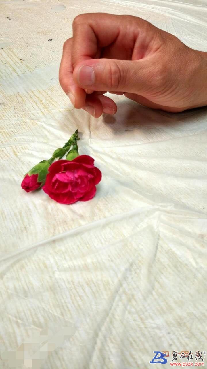 wechat_upload150659824459ccdd6411a0c