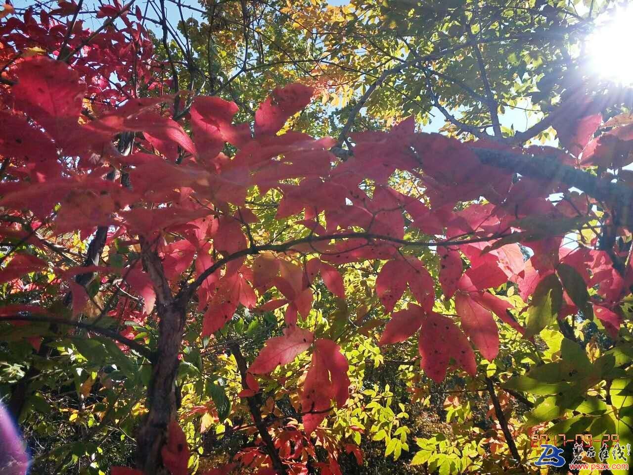 wechat_upload150672344059cec670e5996