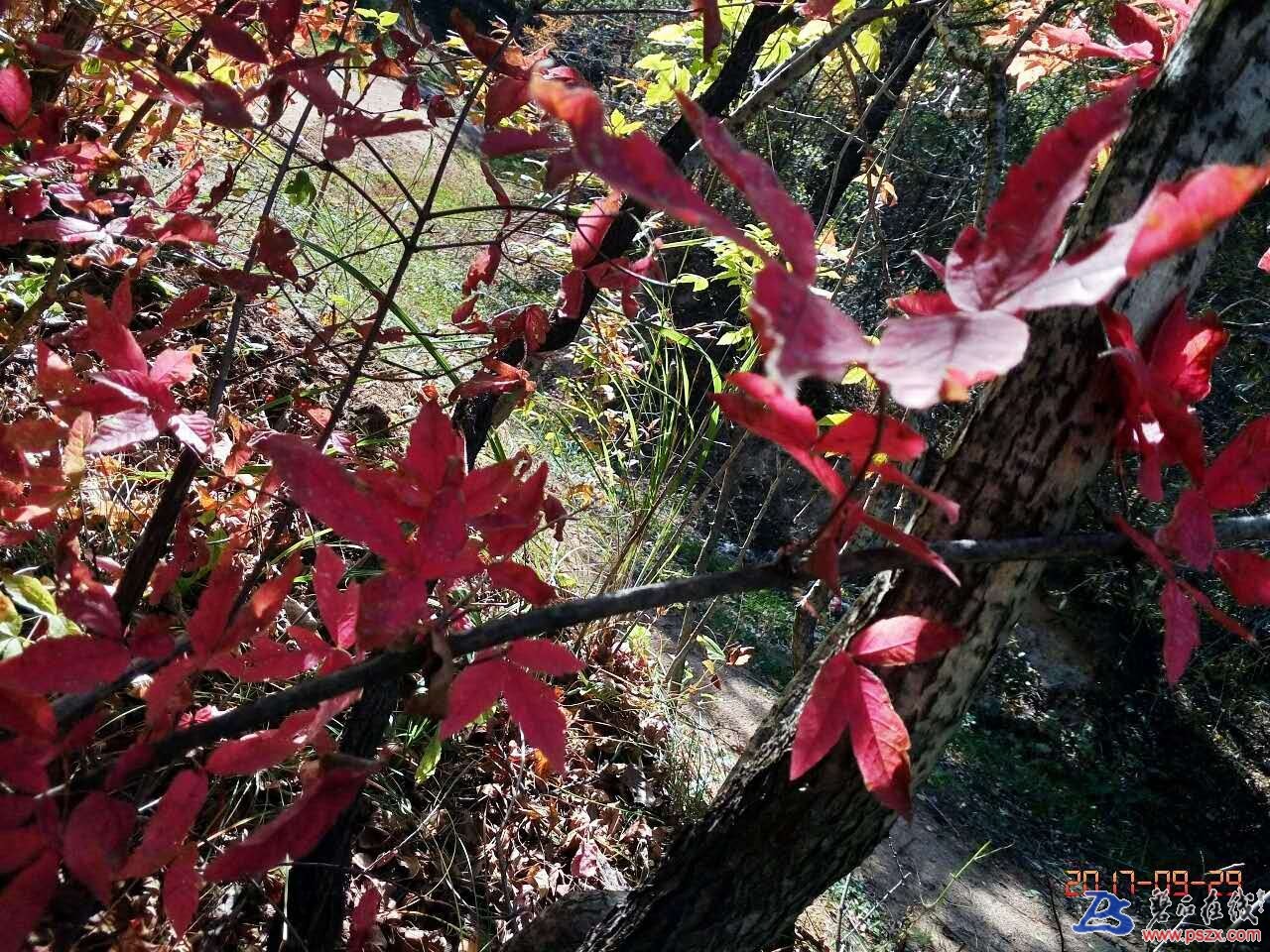 wechat_upload150672344159cec6713d230