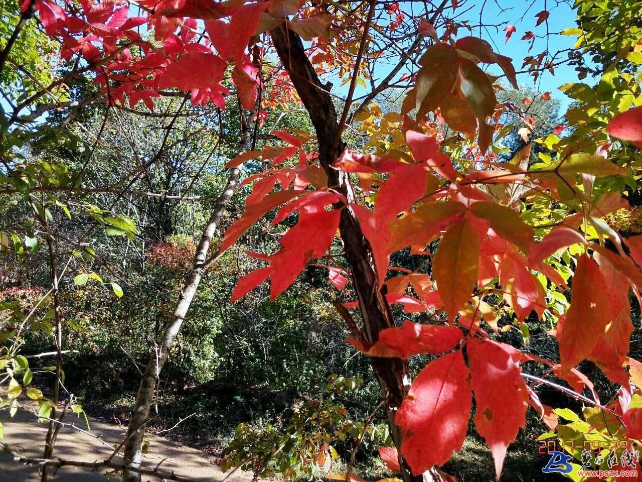 wechat_upload150672391759cec84d1c99b
