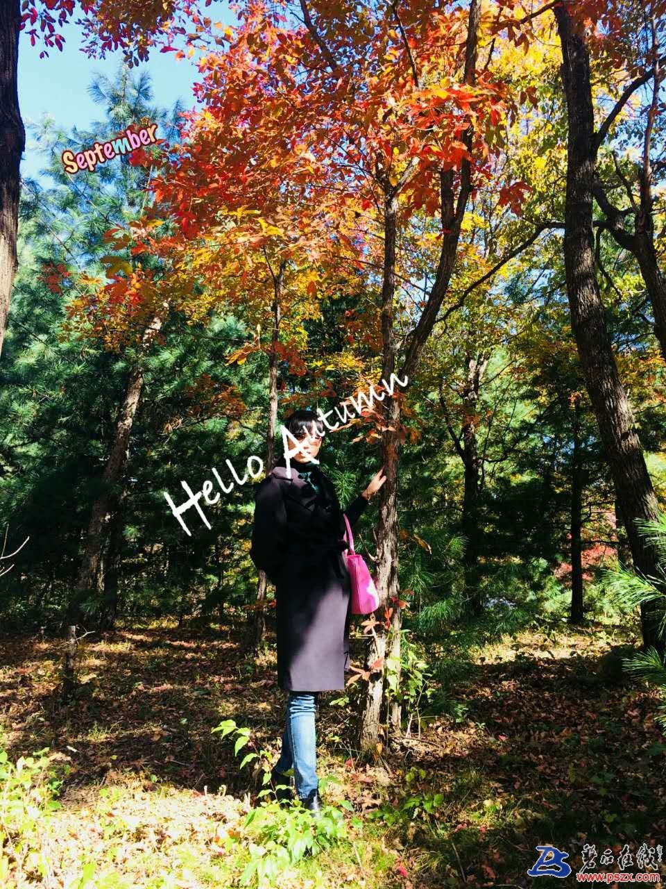wechat_upload150720317159d618639e9e3