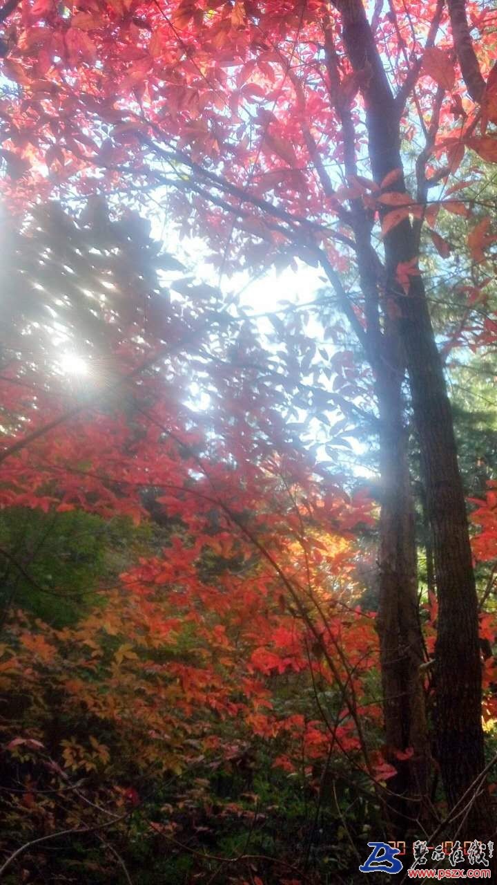 wechat_upload150720317159d61863e8dfe