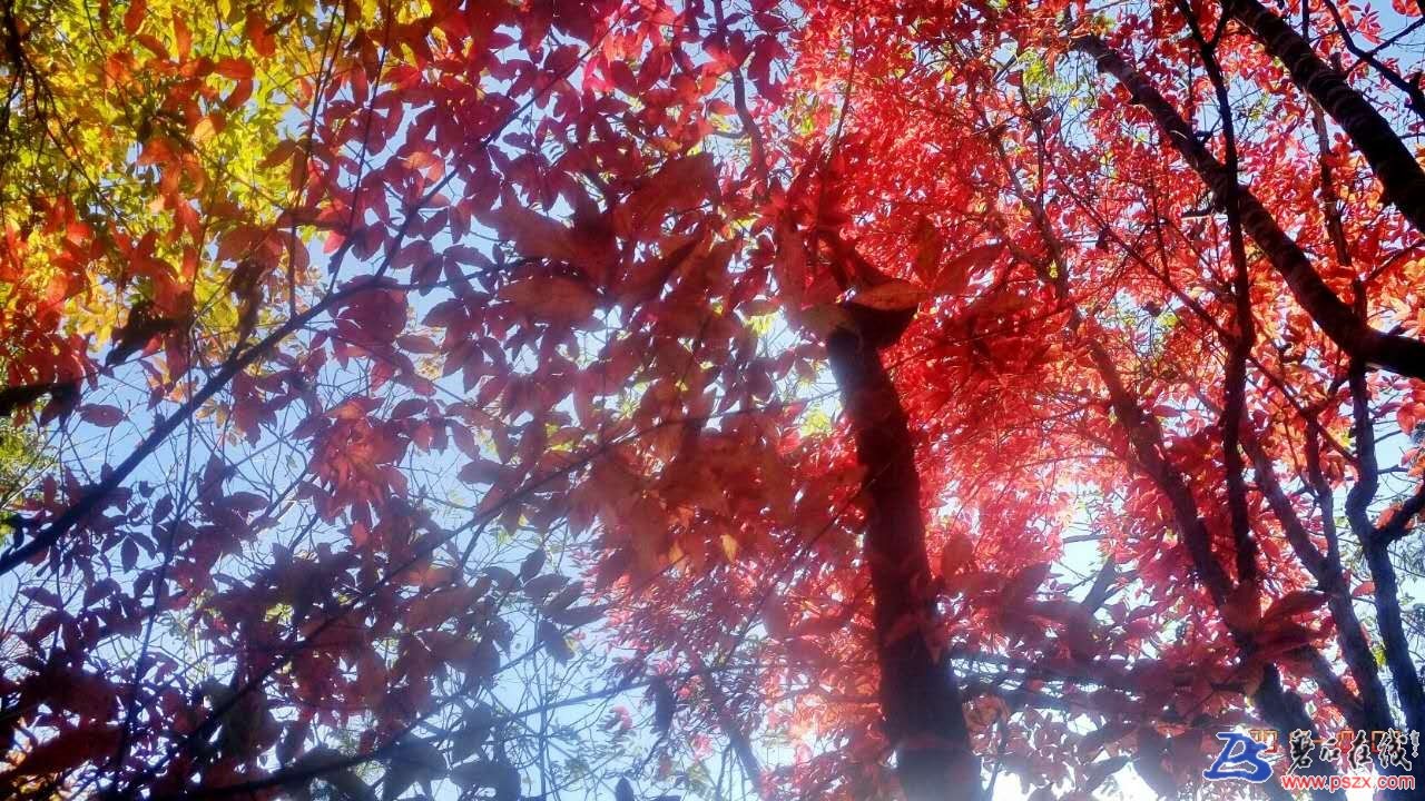 wechat_upload150720317259d618647ced0