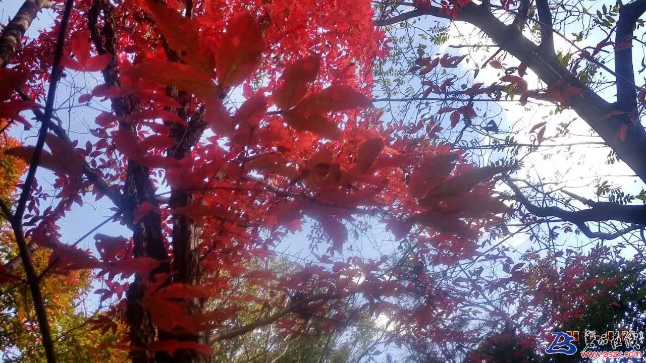 wechat_upload150720317359d61865e2d2f