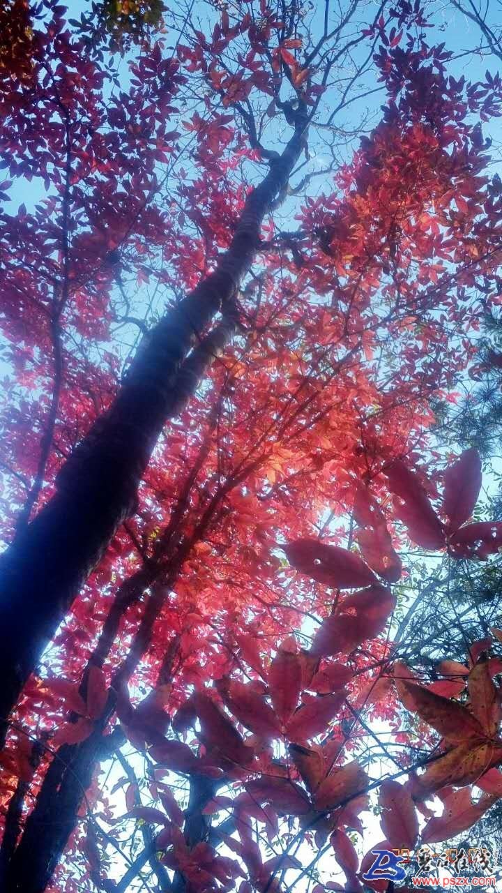 wechat_upload150720317359d618650ef87
