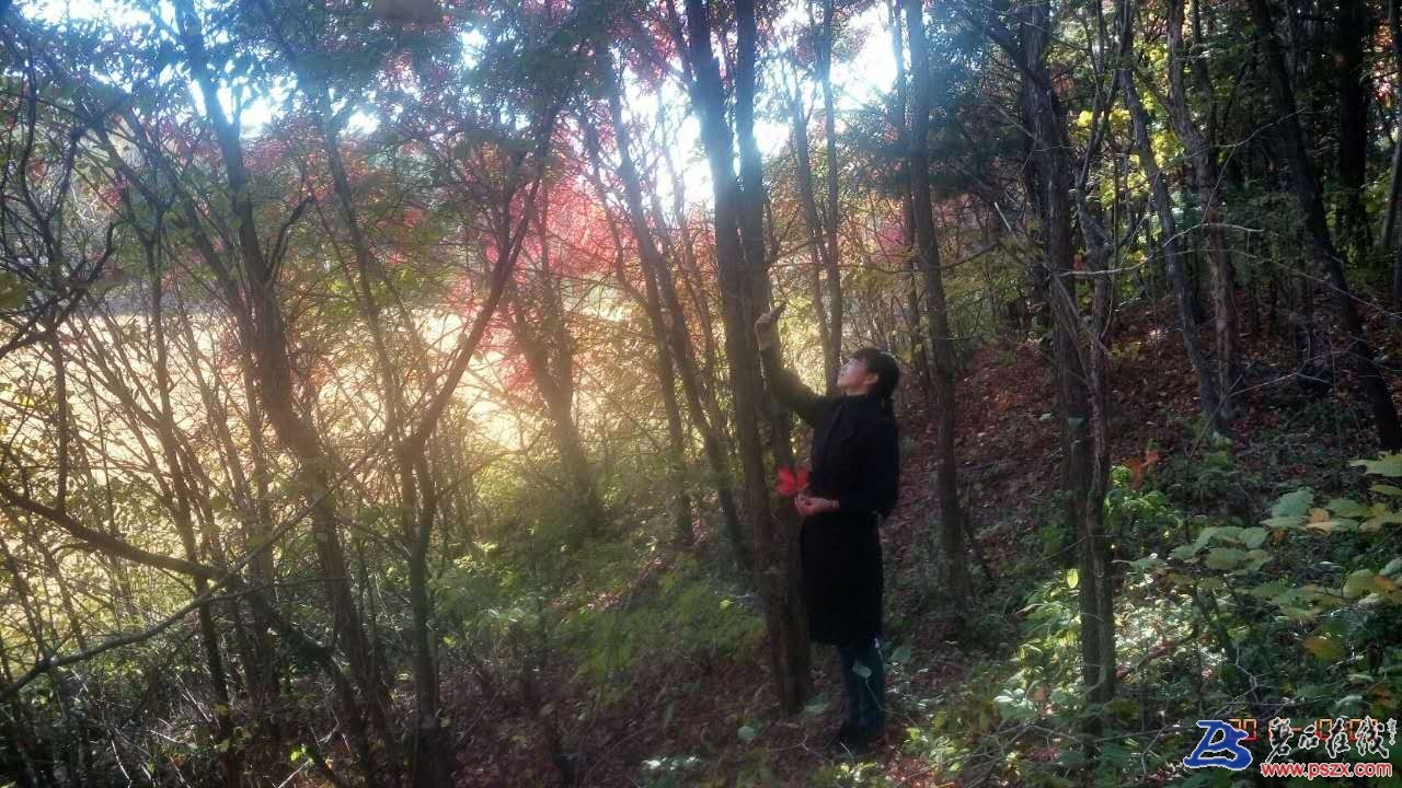 wechat_upload150720329159d618db3a47e