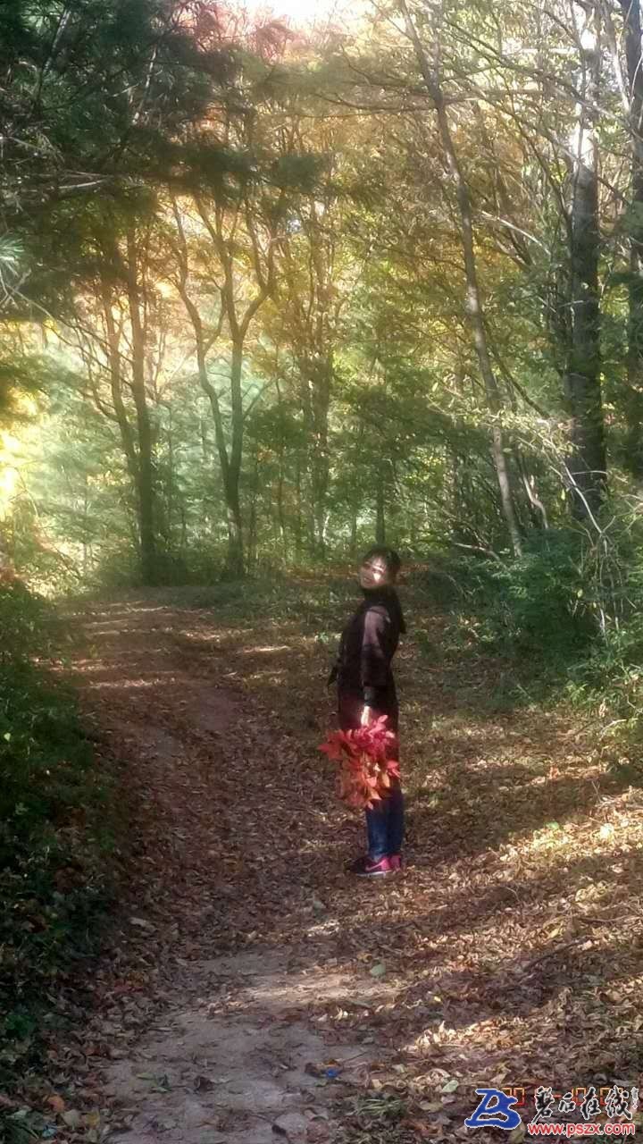 wechat_upload150720329159d618dbb88f2