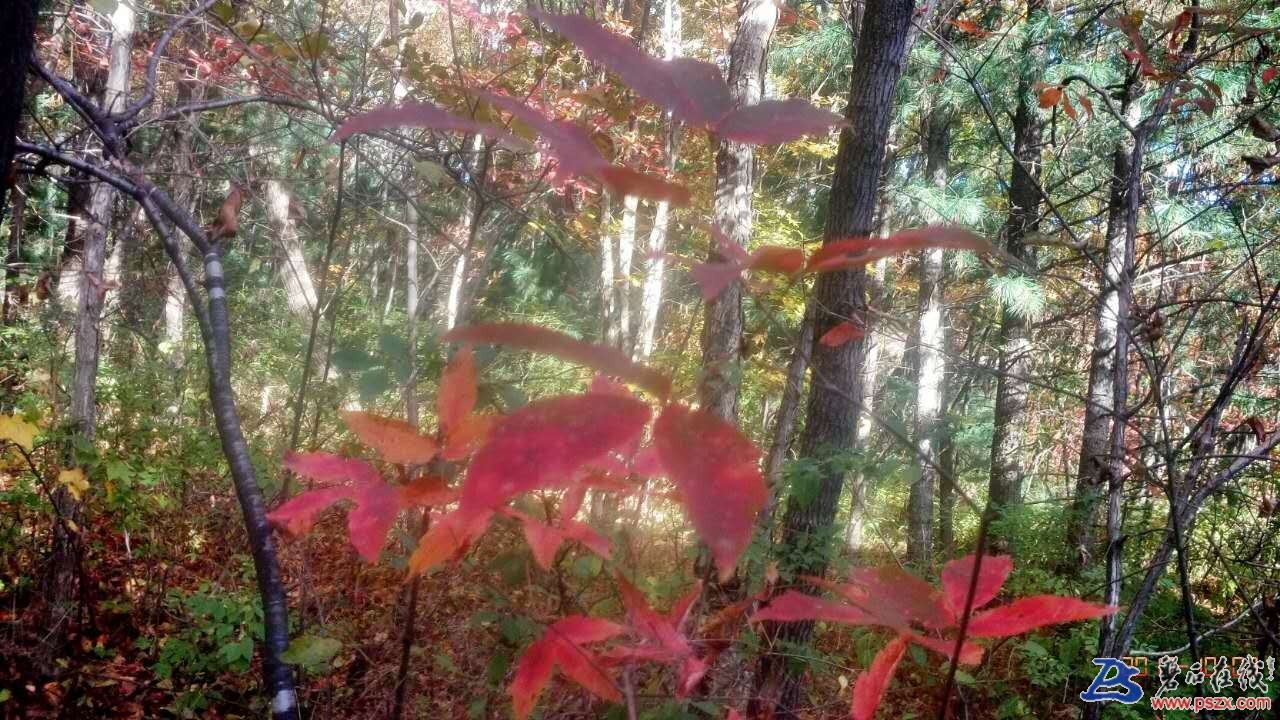 wechat_upload150720338759d6193b2f8f7